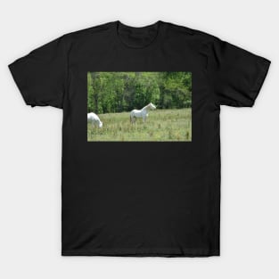 Wild Horse T-Shirt